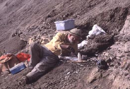 Bill quarrying in Alaska