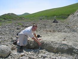 Randall Irmis points to the Sharktooth Hill bonebed horizon