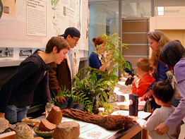 Staffing the plants table