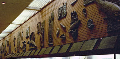 Permian Hall with examples of Permian life on the wall