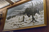 Woolly Rhinoceros painting
