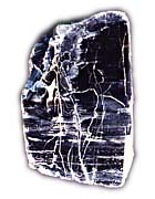 laminated black chert