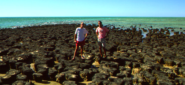 Shark Bay, Australia