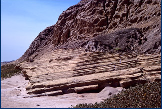 Monterey Formation exposures