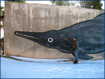 60-foot long ichthyosaur relief