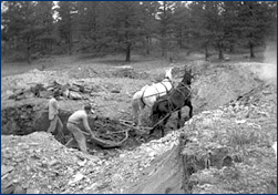 Horses help with excavating