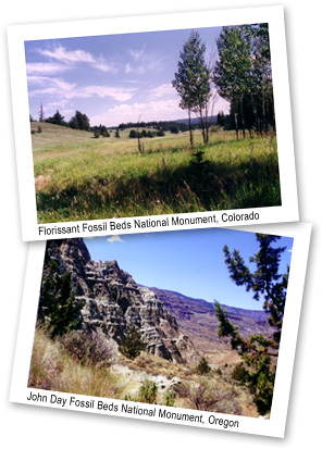 Florissant and John Day Fossil Beds National Monuments
