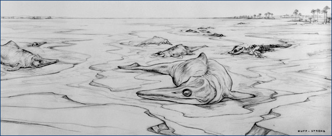 Stranded ichthyosaurs