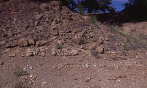 Outcrop of ashfall beds