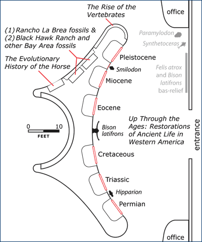 Paleontology display plan