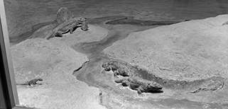 Permian diorama, left side