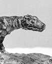 Araeoscelis