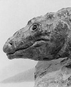 Diplocaulus