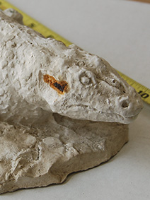 Eryops maquette I