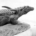 Desmatosuchus