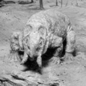 Right side of Triassic diorama