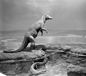 Left side of Cretaceous diorama