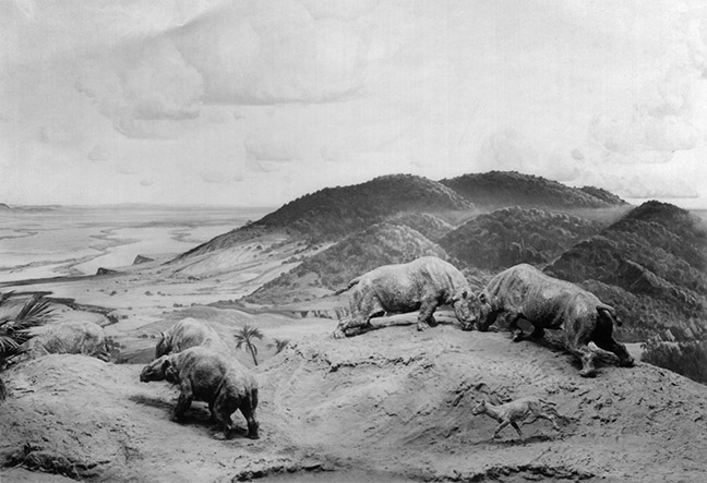 Eocene diorama B