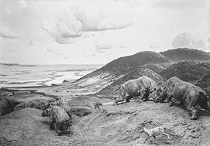 Eocene diorama A