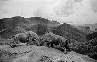 Closeup of battling Teleodus
