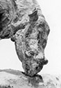 Teleodus B