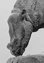 Teleodus A
