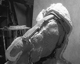 Casting of the adult mammoth