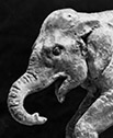 Baby mammoth