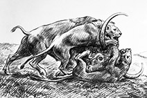 Bison and lions drawing