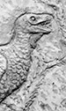 Archaeopteryx