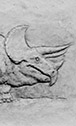 Triceratops