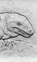 Seymouria