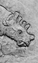 Uintatherium