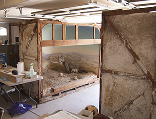 The Pleistocene diorama in Lori Pond's garage, 2014