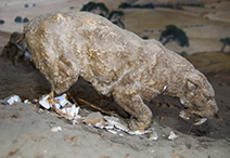 Smilodon