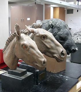 The three heads in the prep lab
