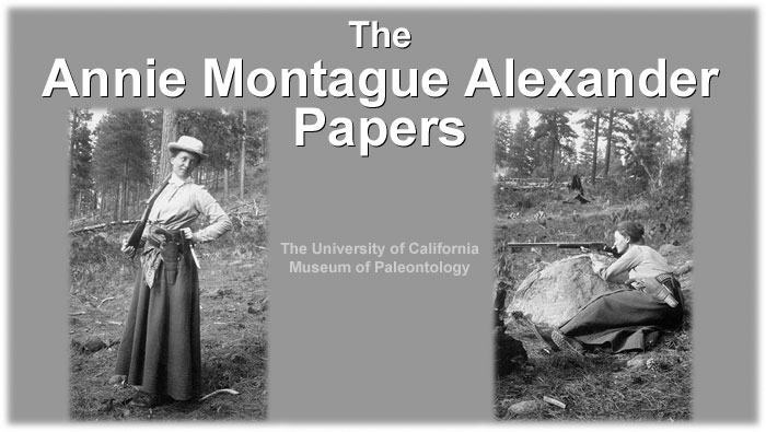 The Annie Montague Alexander Papers