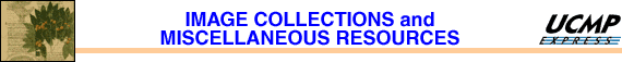 Image Collections and Miscellaneous Resources banner