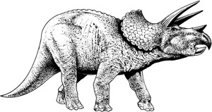 Triceratops