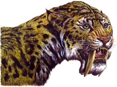 Smilodon