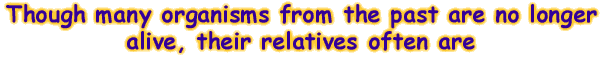Though many organisms from the past are no longer alive, their relatives often are
