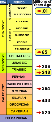 Geologic time/extinctions chart