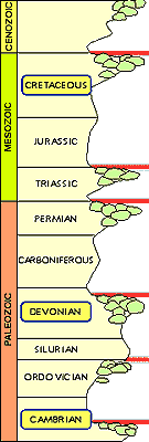 Reef extinctions