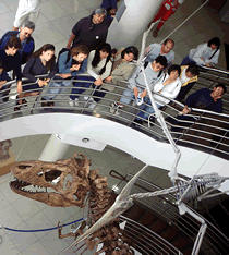 T-rex & pteranodon from second floor