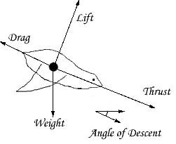 flight diagram