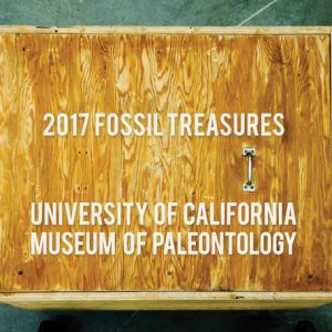 2017 Fossil Treasures Calendar