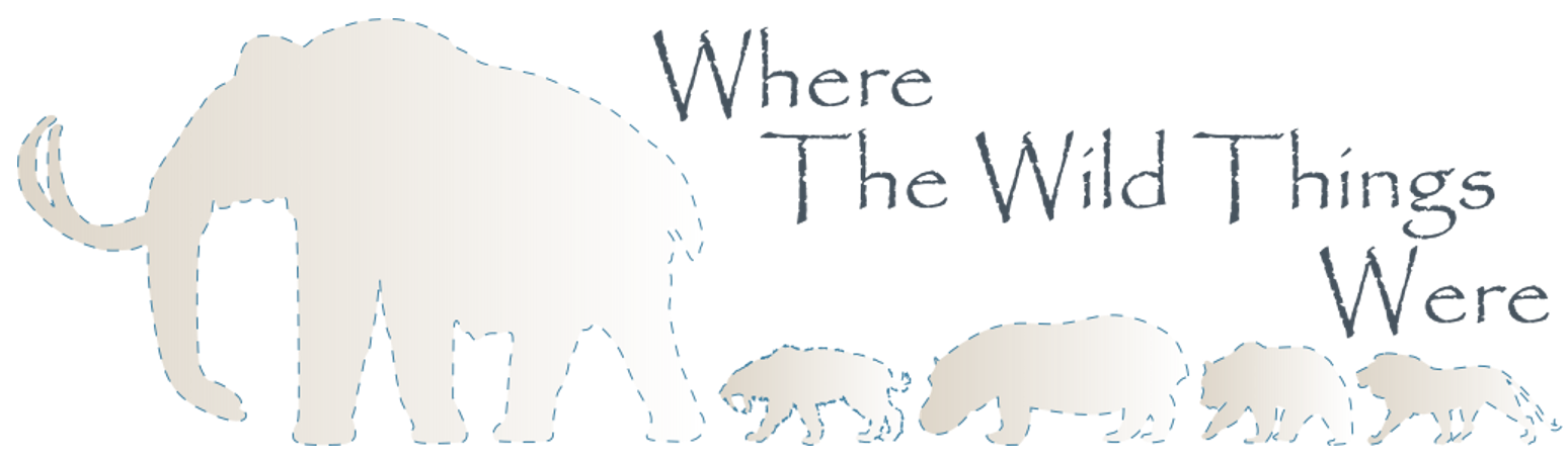 Where the Wild Things Were banner