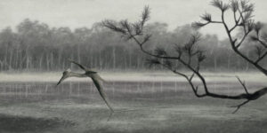 Illustration of pterosaur flying over swamp.