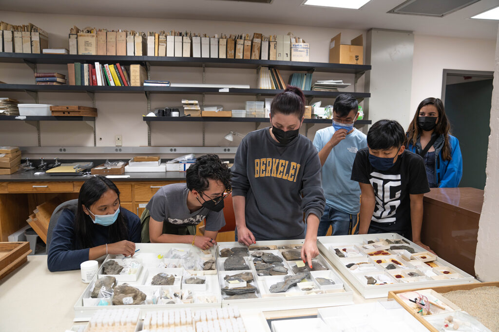 Students and collections manager looking at drawers of fossils.