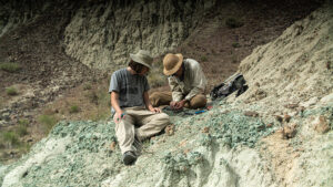 James Pinto (left) and Jack Tseng (right) searching for small fossil mammals in eastern Oregon near John Day Fossil beds. 
